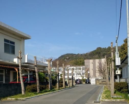 【周辺】　愛媛県立川之江高校：733m